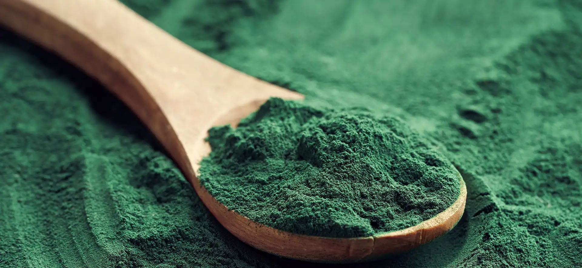 Premium Green Spirulina Powder: A Complete Sourcing Guide for Importers